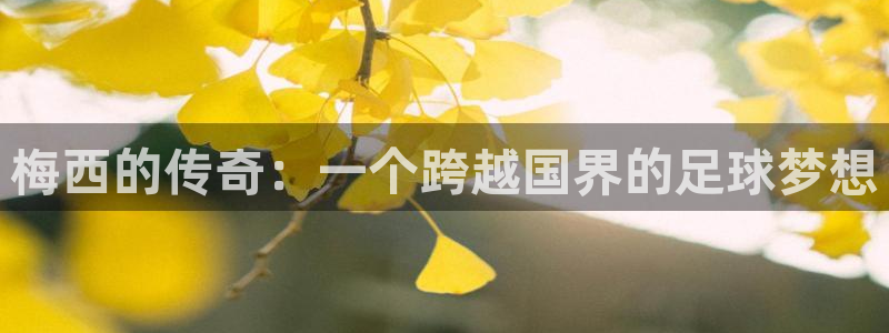 世界杯预选赛排名：梅西的传奇：一个跨越国界的足球梦想