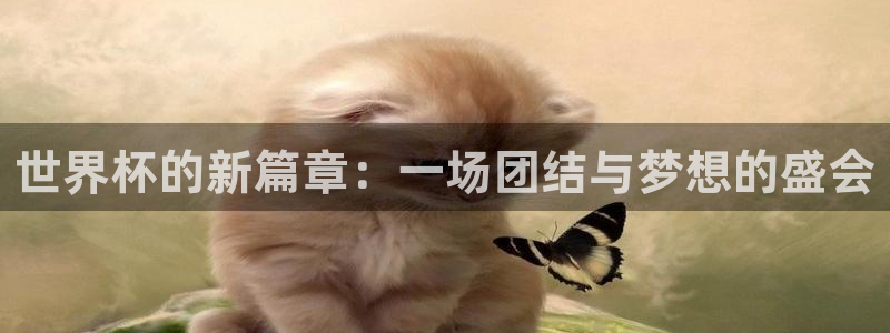 世界杯比赛：世界杯的新篇章：一场团结与梦想的盛会