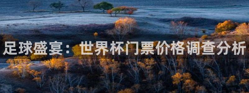 世界杯亚洲区预选赛赛程表：足球盛宴：世界杯门票价格调查分析