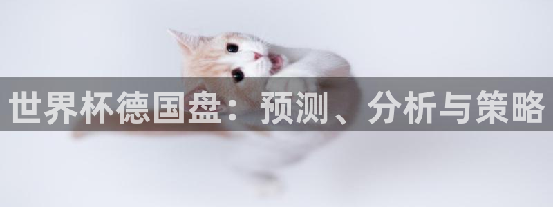 世界杯比赛：世界杯德国盘：预测、分析与策略
