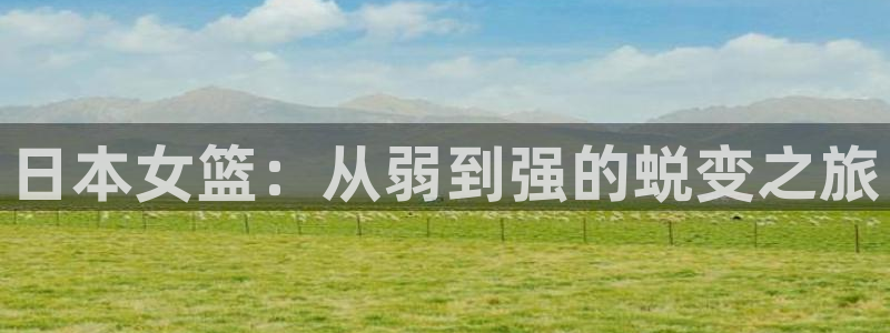 足球世预赛：日本女篮：从弱到强的蜕变之旅
