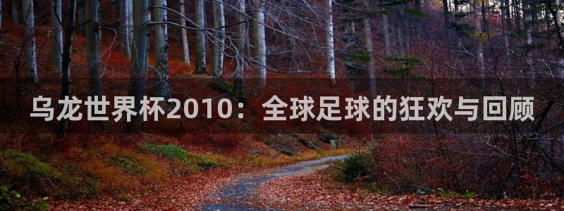 世界杯2026赛程表：乌龙世界杯2010：全球足球的狂欢与回顾