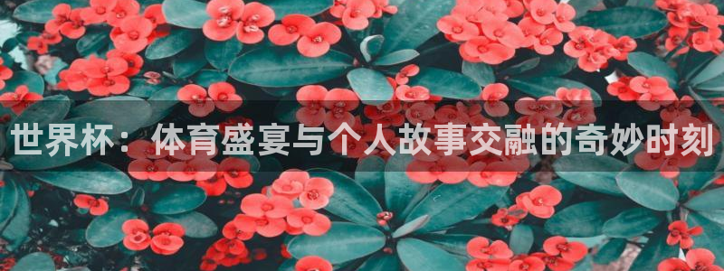 西超杯直播：世界杯：体育盛宴与个人故事交融的奇妙时刻