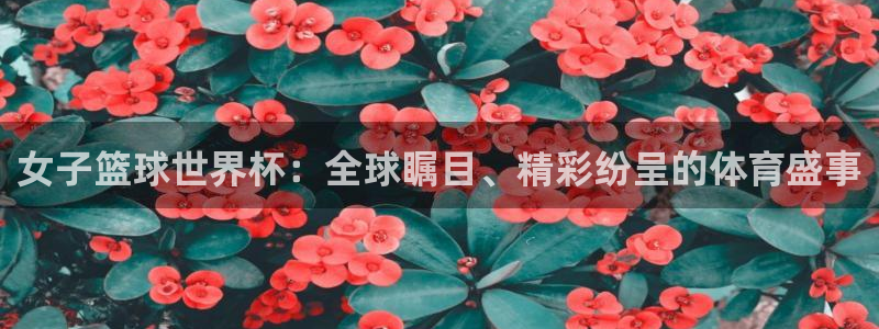 2026世界杯赛：女子篮球世界杯：全球瞩目、精彩纷呈的体育盛事