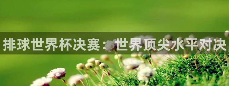 亚洲杯比赛直播：排球世界杯决赛：世界顶尖水平对决