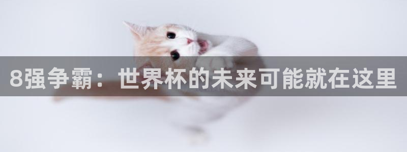 世界杯 赛程：8强争霸：世界杯的未来可能就在这里