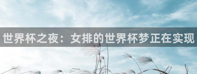 2026世界杯赛制：世界杯之夜：女排的世界杯梦正在实现
