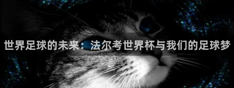 2026世界杯买球：世界足球的未来：法尔考世界杯与我们的足球梦