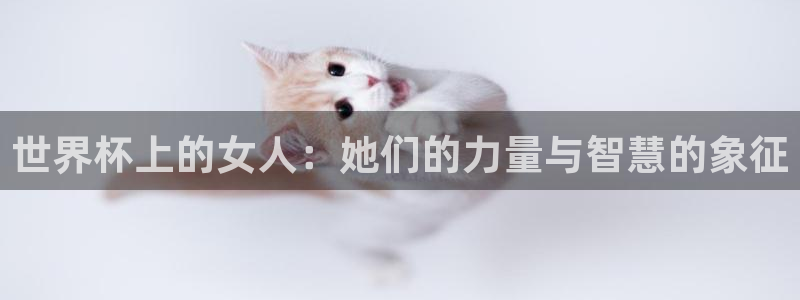 世界杯球赛：世界杯上的女人：她们的力量与智慧的象征