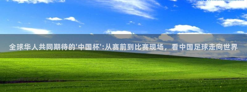 2026世界杯倒计时：全球华人共同期待的\'中国杯\':从赛前到比赛现场，看中国足球走向世界